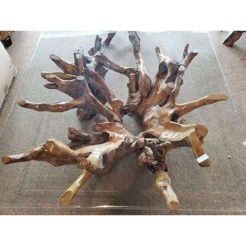Stolik kawowy z korzenia drewna teakowego z kwadratowym szklanym blatem 55 cali