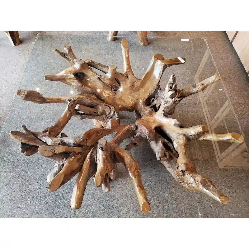 Stolik kawowy z korzenia drewna teakowego z kwadratowym szklanym blatem 55 cali